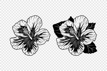 Vector Monochrome Outline Ink Hibiscus. Chinese Rose Set. Floral Design Elements. Hibiscus Flower Linear Black and White Icon, Tattoo. Hibiscus Flowers Isolated