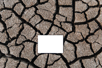 a white sheet of paper lies against the background of a barren, cracked patch of land