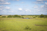 Fototapeta Sawanna - Swampland in Fort Matanza, St. Augustine, Florida