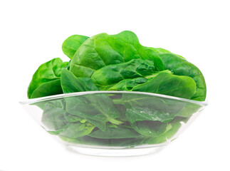 Canvas Print - fresh spinach isolated on white background closeup