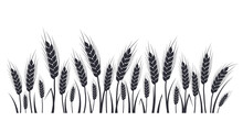 Wheat, Oat, Rye Or Barley Field Silhouette. Cereal Plant Border, Agricultural Landscape With Black Spikelets. Banner For Design Beer, Bread, Flour Packaging