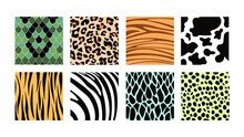 Set Of Colorful Animal Prints In Cartoon Style. Vector Illustration Of Animal Skin Patterns With Snakes, Lizards, Crocodiles, Cows, Tigers, Leopards, Zebras On White Background.