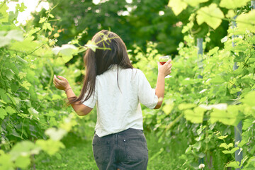 activity, attractive, beautiful, beauty, cat, cheerful, dress, fashion, female, field, forest, fresh, garden, girl, glass, gourmet, grape, grass, hair, happiness, happy, harvest, healthy, landscape, l