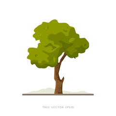 Wall Mural - Tree vector illustration on white background, landscape decoration element
