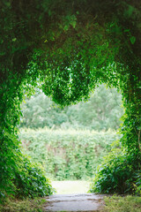 Sticker - path through the trees. Leaf arch. Heart shape.