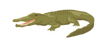 Alligator Or Crocodile Aquatic Animal, Isolated African Fauna. Carnivore Amphibian Dangerous Species. Wilderness Conservation Reptiles. Flat Cartoon, Vector Illustration
