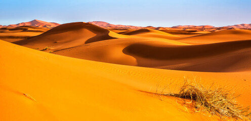 Wall Mural - Amazing view of sand dunes in the Sahara Desert. Location: Sahara Desert, Merzouga, Morocco. Artistic picture. Beauty world.