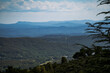© RTMC - The valleys of the Provence (France) Alpes. Pine trees, mountains.