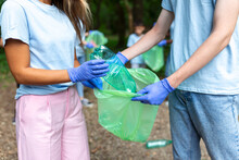 Volunteers Is Picking Up Plastic Waste At Nature. Activists Collecting Garbage In The Park.