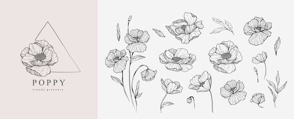 Wall Mural - set of luxury flowers and logo. trendy botanical elements. hand drawn line leaves branches and bloom