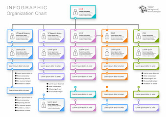 Wall Mural - Organization chart. Business chart design. Vector illustration.	