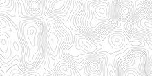 Topography Map Background. White Wave Paper Curved Reliefs Abstract Background. Vector Contour Topographic Map Background. Conditional Geography Scheme And The Terrain Path. Paper Texture Design .