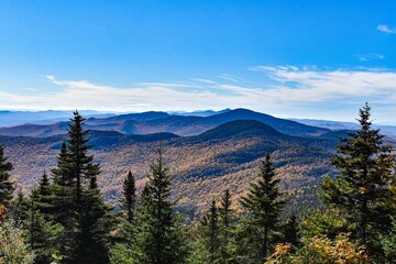 Bright sunny day in the forested hills against the blue sky