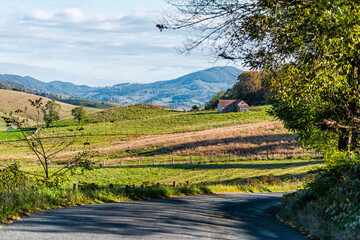 Wall Mural - View of empty winding curve turn on countryside rural road with autumn foliage on trees in Appalachian mountains in Highland County, Virginia rural countryside