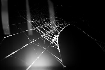 Wall Mural - triangle horror cobweb or spider web isolated on black background,horizontal photo