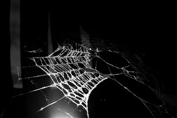 Wall Mural - triangle horror cobweb or spider web isolated on black background,horizontal photo