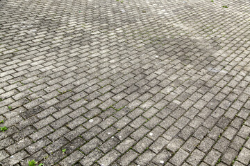 Sticker - Paving stones on the street for pedestrians