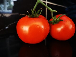 Wall Mural - Ripe tomatoes on black wood background. Close-up of fresh red tomato