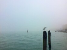 Misty Morning On The Sea In Venice 