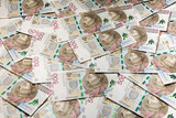Fototapeta Storczyk - pieniądze polskie złotówki w banknotach pięciuset złotowych 500-złotowych