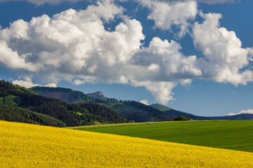 Spring landscape with fields of oilseed rape. Hills and blue sky with dramatic clouds in the background. The Klak hill from The Rajecka valley in Slovakia, Europe.