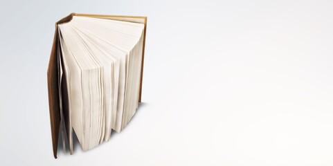 Wall Mural - old open books with cover on a white background