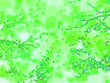 green bubbles watercolor paper background, abstract wet impressionist paint pattern, graphic design