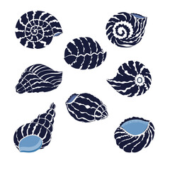 Vector drawing of blue seashell, illustration abstract shellfish drawing on white background, clam, mollusk, scallop