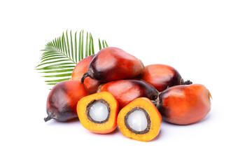 Poster - Pile of oil palm fruit and cut in half sliced with green leaf isolated on white background.