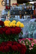 Blumenstand mit roten und gelben Rosen in der Markthalle Hala Targowa, Breslau, Polen
