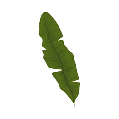 Sticker - palm leaf icon