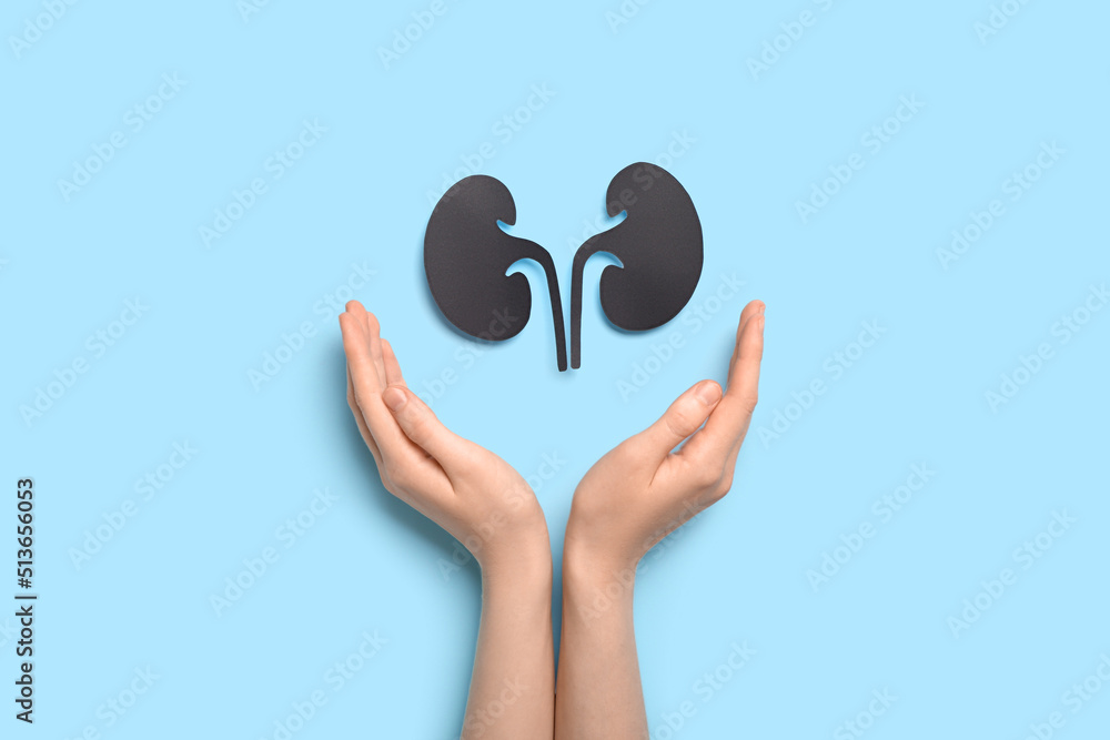 Female hands and paper kidneys on blue background