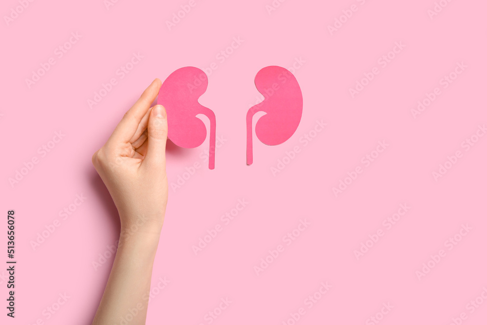 Woman with paper kidneys on pink background