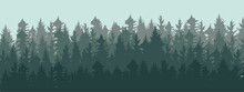 Landscape Of Pine Trees Illustration. Beautiful Fir Forest Views Background Vector.