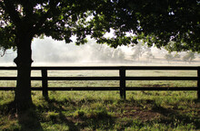 Morning Mist In A Paddock Beyond A Post And Rail Wooden Fence