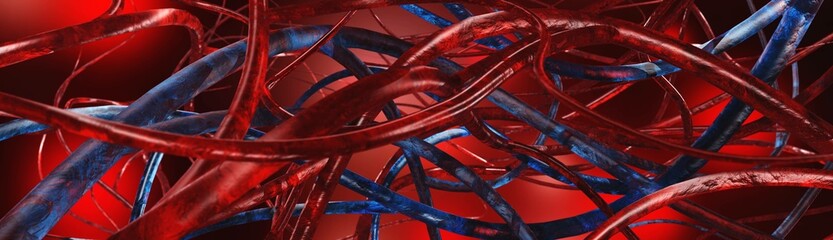 Wall Mural - Anatomical abstract background, veins and arteries, human circulatory system, 3d rendering