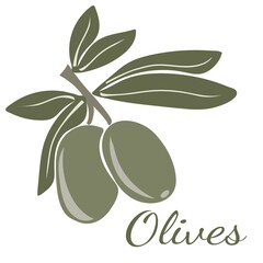 Wall Mural - Green olives on branches with leaves. Hand drawn vector illustration isolated on a white background