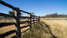 Cattle Stockyard Fencing