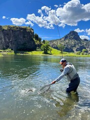 Wall Mural - catch of a beautiful rainbow trout by a fly fisherman in Montana