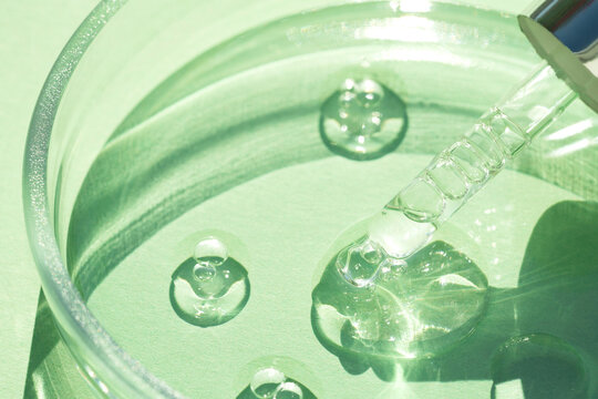 pipette with transparent cosmetic liquid at glass petri dish over green background with copy space. 