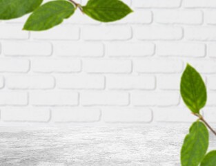 Poster - Empty table top, green leaves and wall, for Product Presentation Backdrop, Display