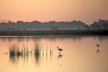 Wall Mural - Sunset at the lagoon