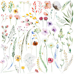 watercolor wildflowers and leaves illustration set, wedding and greeting elements