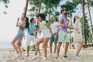 Wall Mural - Full length body size view of attractive cheerful friends gathering pastime dancing sunny day at bank river picnic outdoors