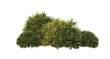 Sticker - 3d render shrub with white background