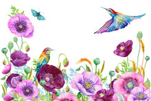 Floral Background Purple Poppies And Birds Watercolor Illustration For The Design Of Postcards And Invitations