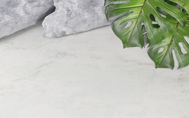 Wall Mural - Stone product display podium with monstera leaf on white background. 3D rendering