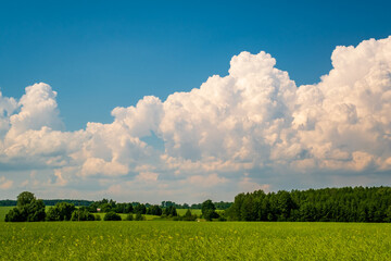 Wall Mural - blue sky background with white striped clouds in heaven and infinity may use for sky replacement.
