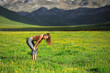 © Antonioguillem - Exhausted runner in a field in a high mountain