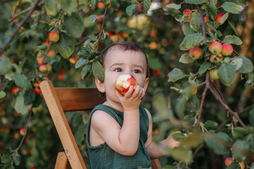 A cute one-year-old child with pleasure eats an apple in an apple garden. The child has a great appetite